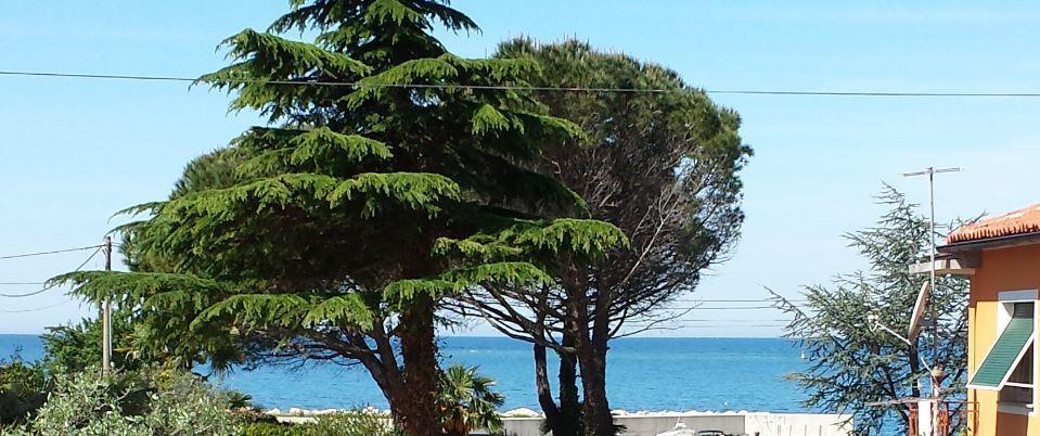 Apartments Lana Umag Ruang foto